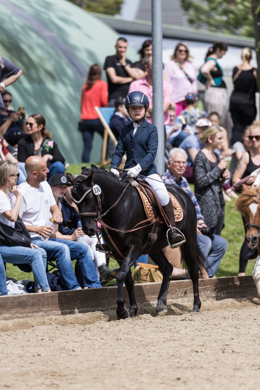 Bild 92 - Pony Akademie Turnier